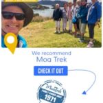 Ratings and Feedback for Senior Tours in NZ: A Comprehensive Guide